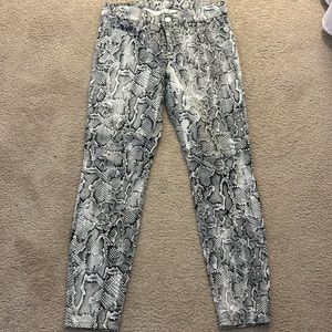 White House Black Market woman’s jeans